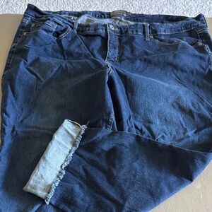 Torrid Vintage Stretch Denim Jeans